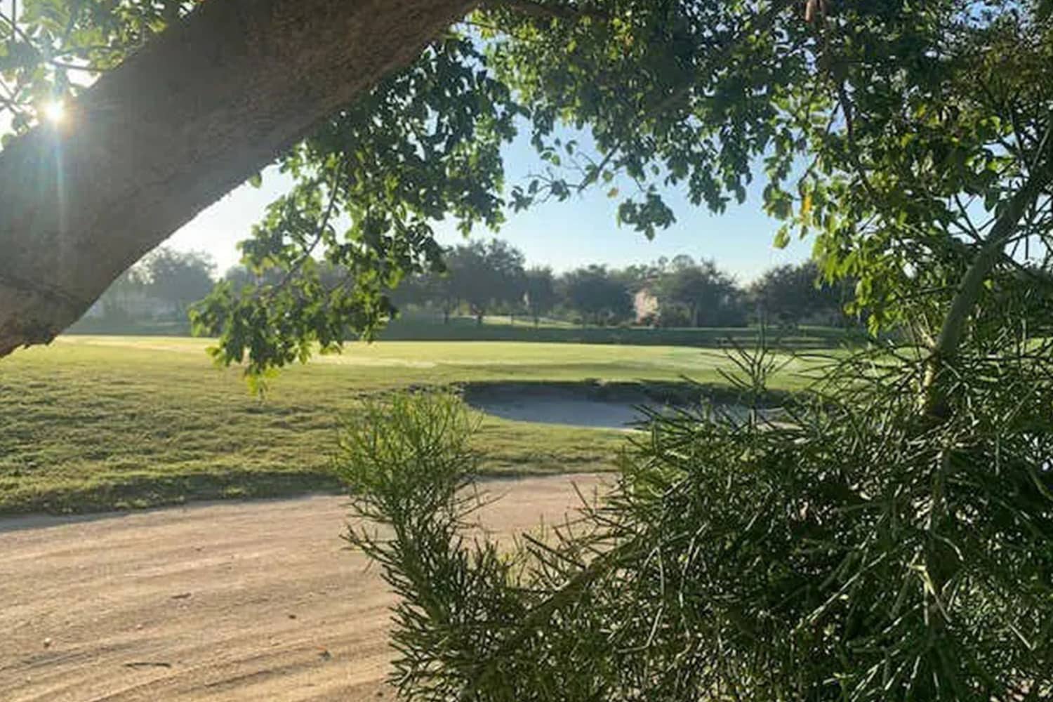 florida-golf-school-club-at-westminister-trees